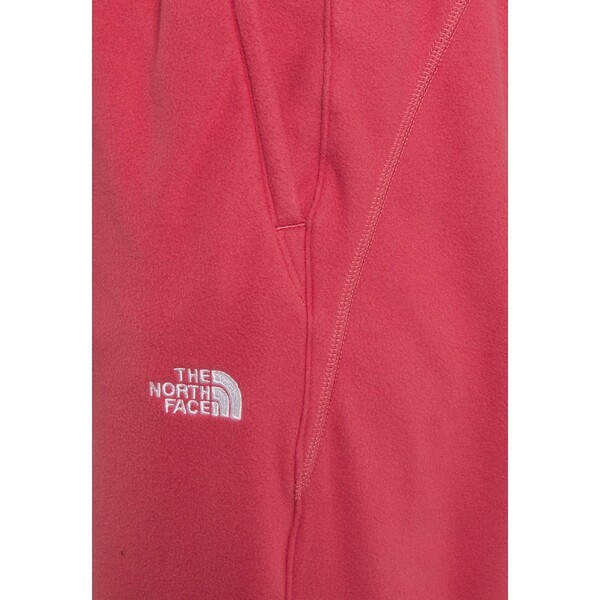 Флісові штани THE NORTH FACE