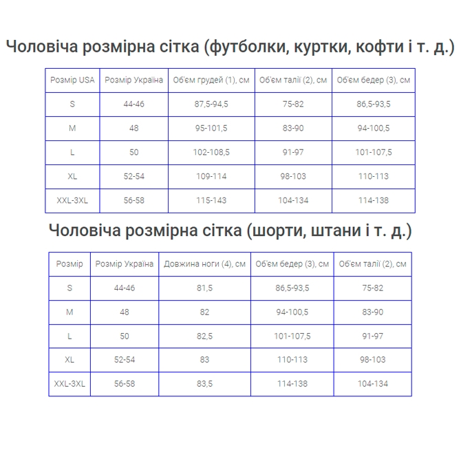 CHAMPION Світшот