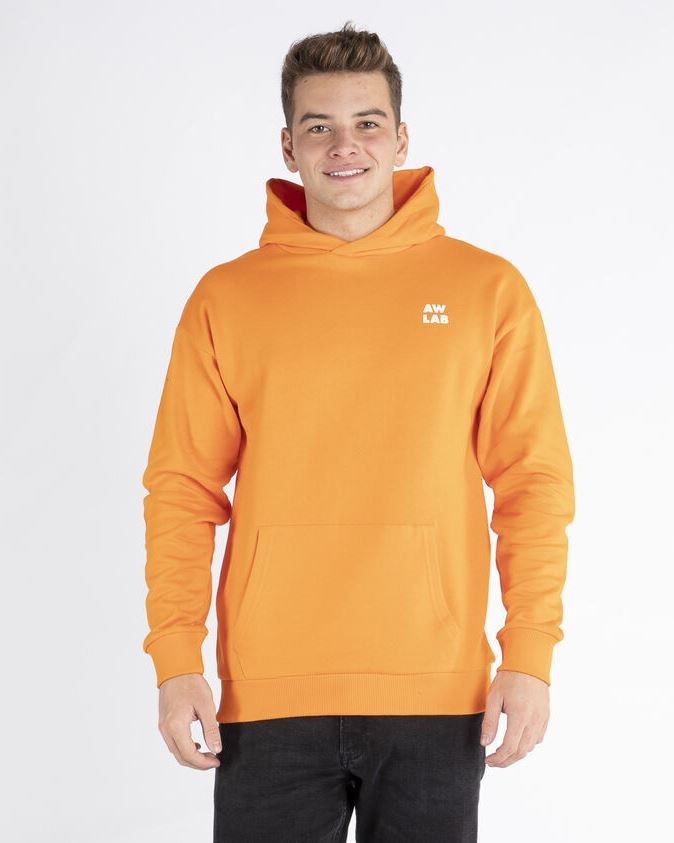 AW LAB Hoodie